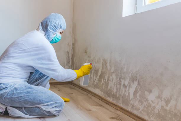 Hvac And Air Duct Mold Remediation inspection of HVAC system in Lake Worth