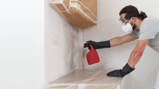 Attic Mold Remediation treatment on roof deck in Lake Worth